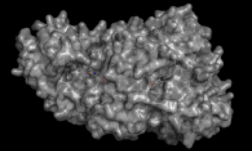 Functional Proteomics Undergraduate Research Initiative