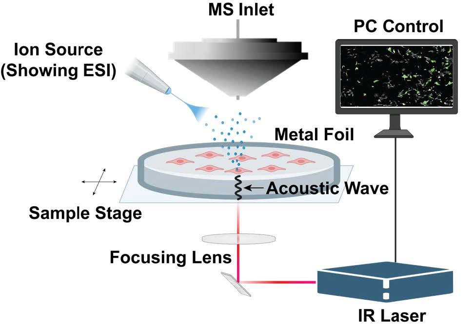 Figure 1. Schematic of the proposed LIAD MSI platform for single-cell MSI experiments (not to scale).